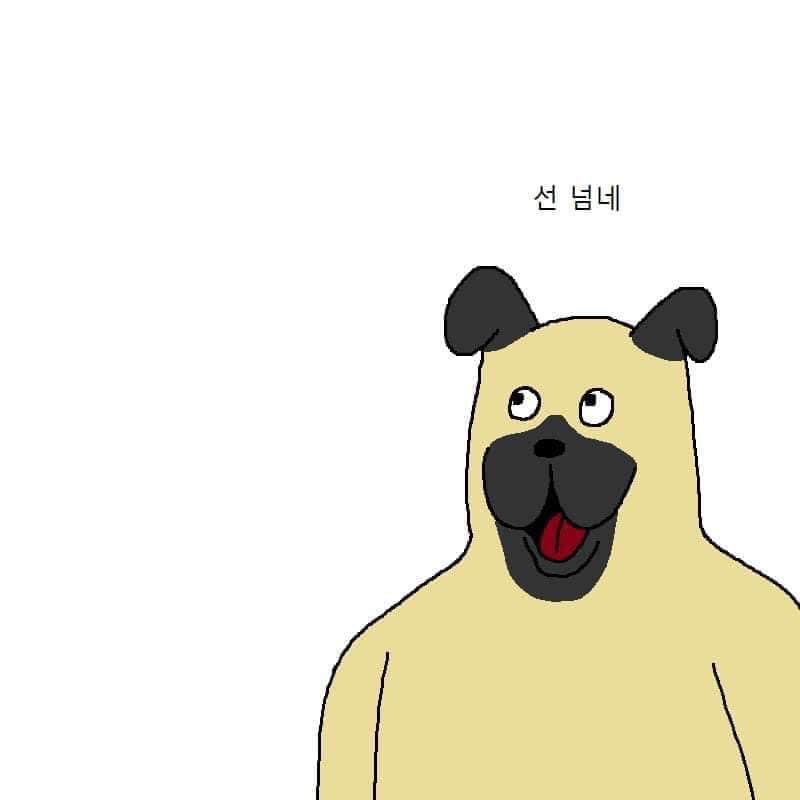 카페이루(cafe IRU) 이미지