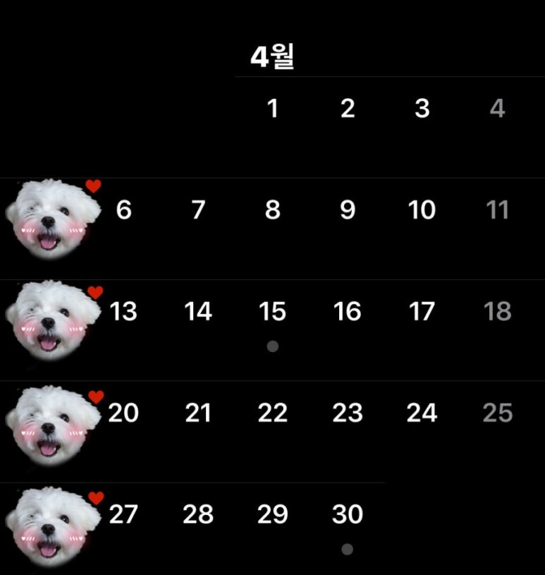 비커밍헤어 이미지