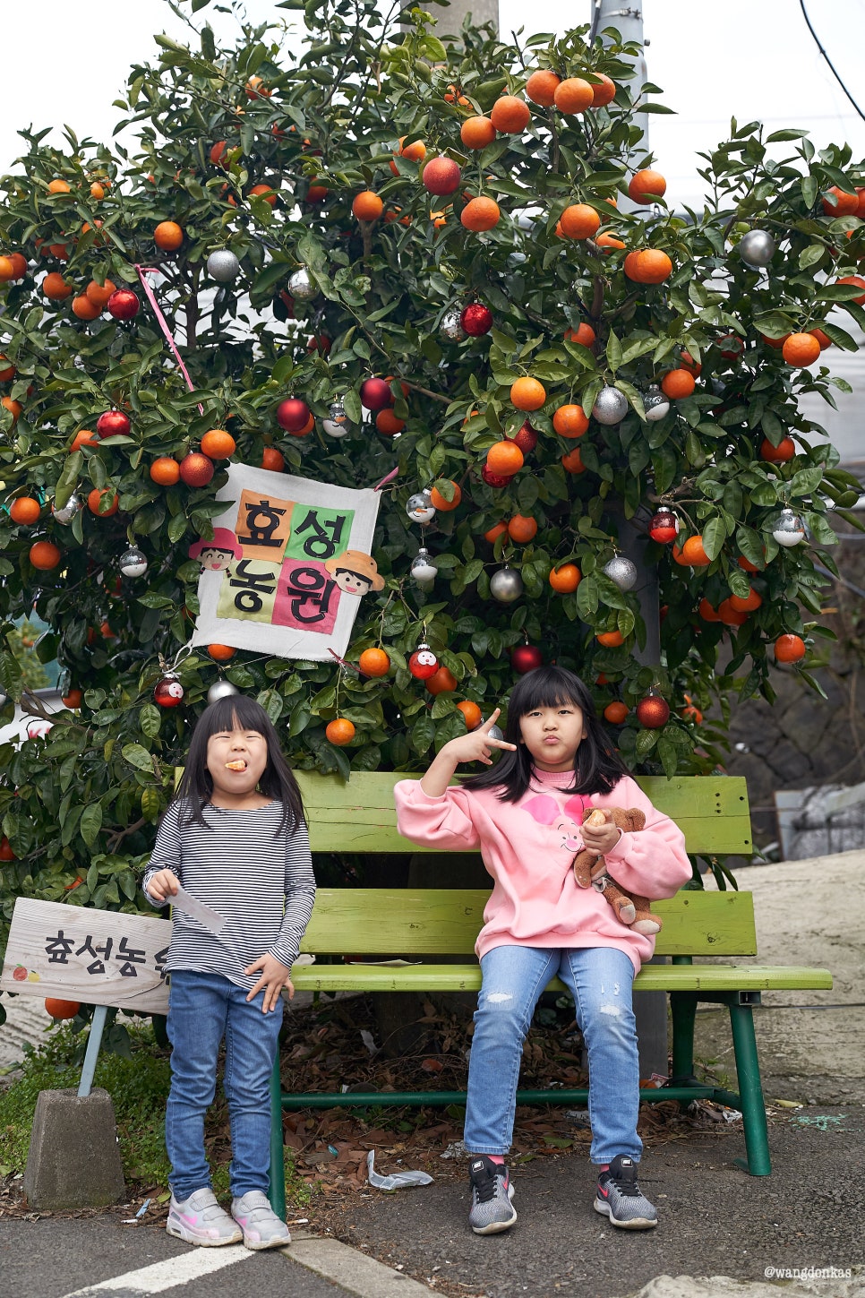 효성농수산 이미지