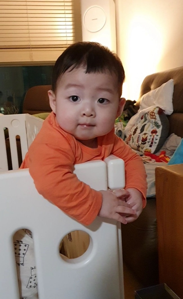 돌콩헤어 이미지