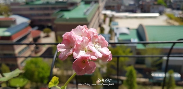참새미커피 이미지