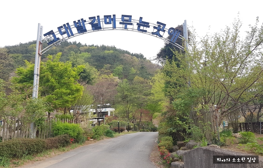 비욘드브릿지 이미지