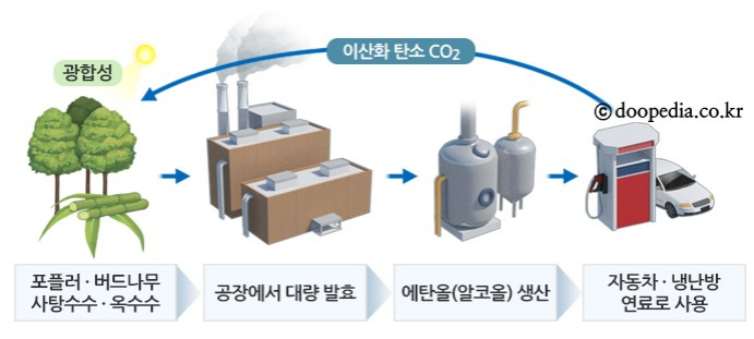 청정바이오 이미지