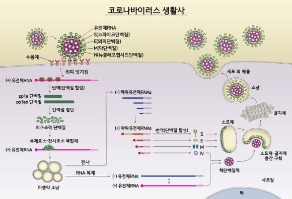 (주)테라젠이텍스 이미지
