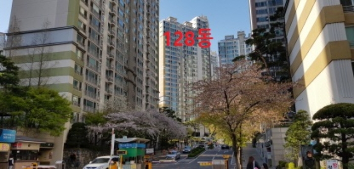 비산청과 이미지