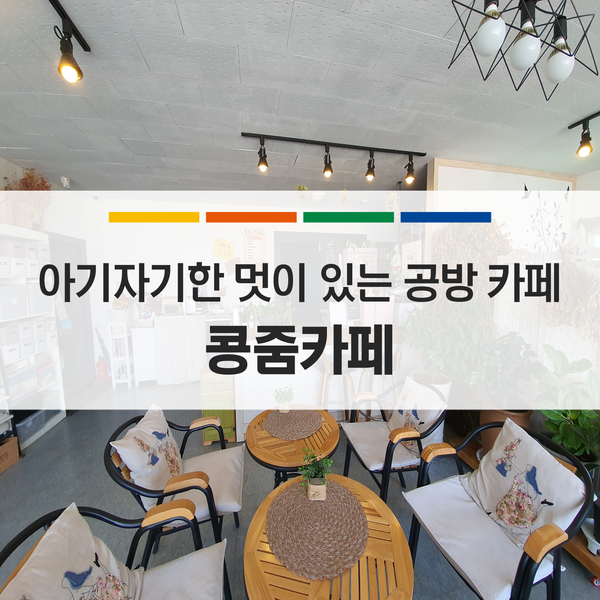 콩줌 이미지