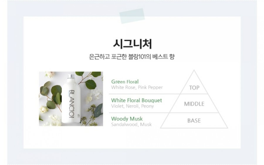 워시블랑 이미지