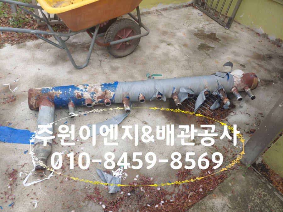 보광유치원 이미지