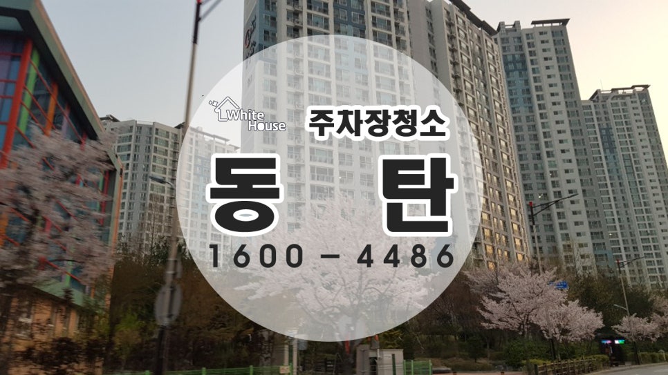 화이트청소대행 이미지