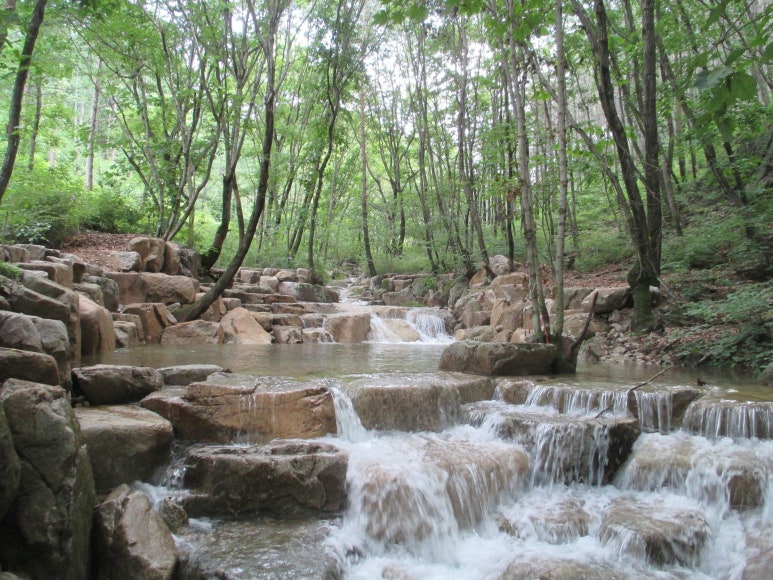 사방인력 이미지