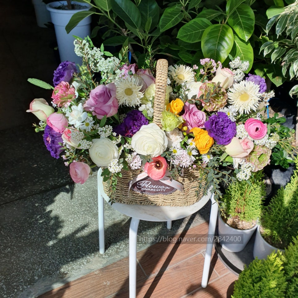오성화원 이미지
