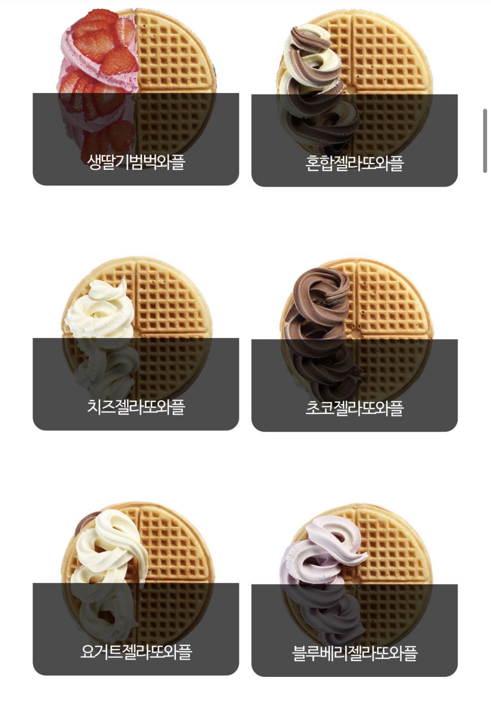 와플대학 이미지