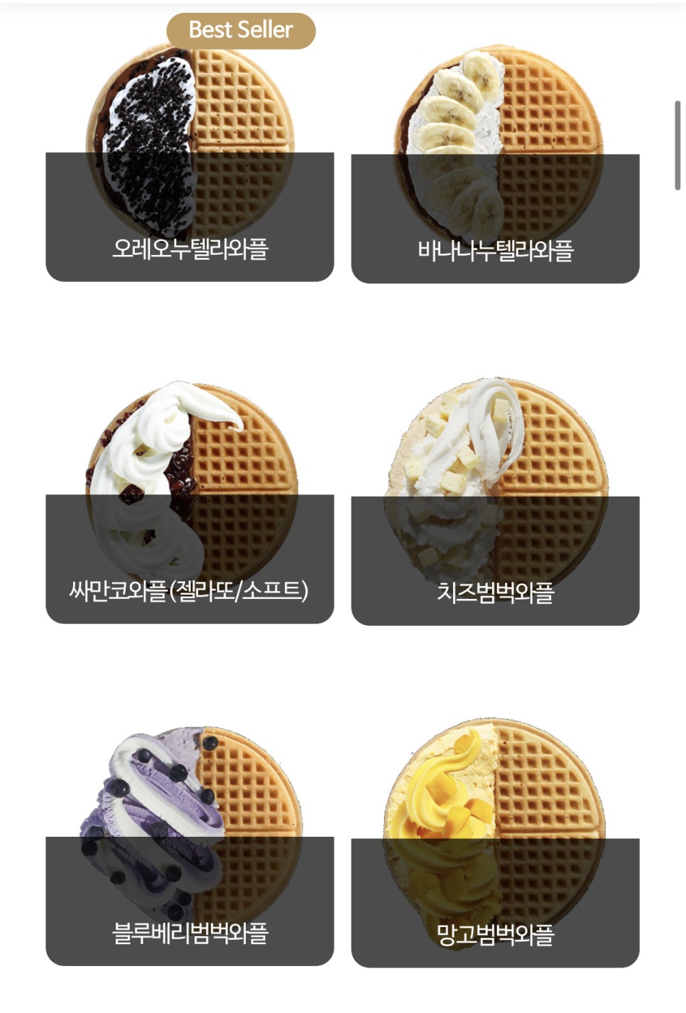 와플대학 이미지