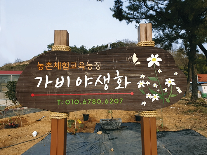 가비야생화 이미지