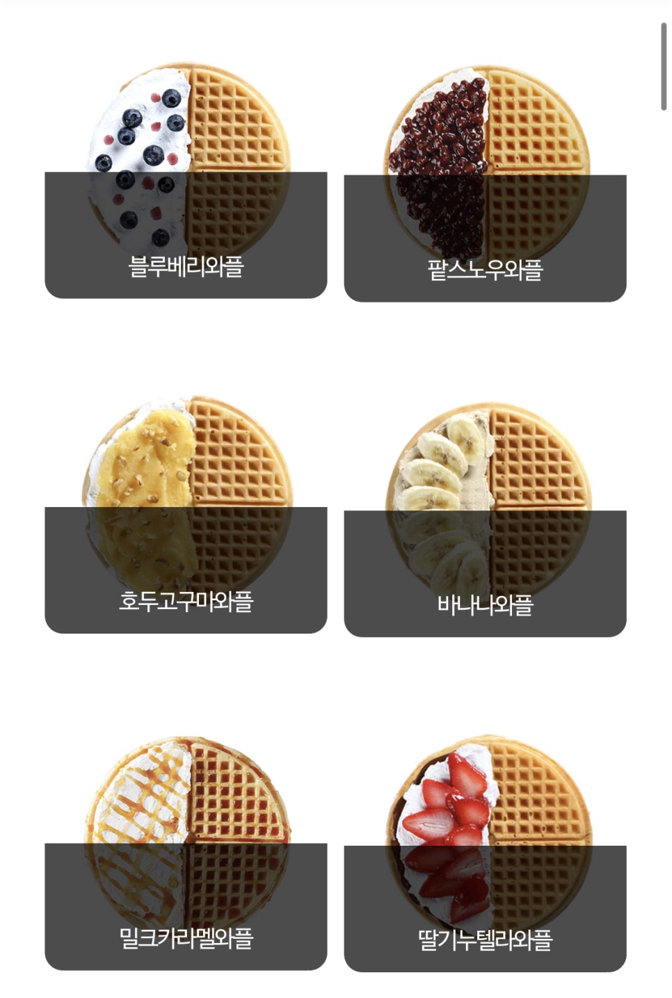 와플대학 이미지