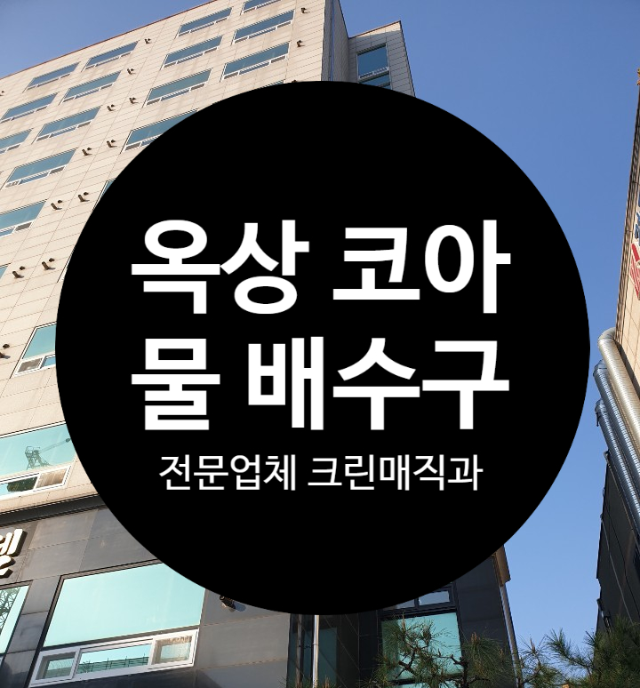 (주)꽃보다 크린 이미지