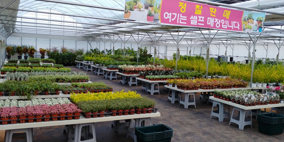 식물농장 이미지