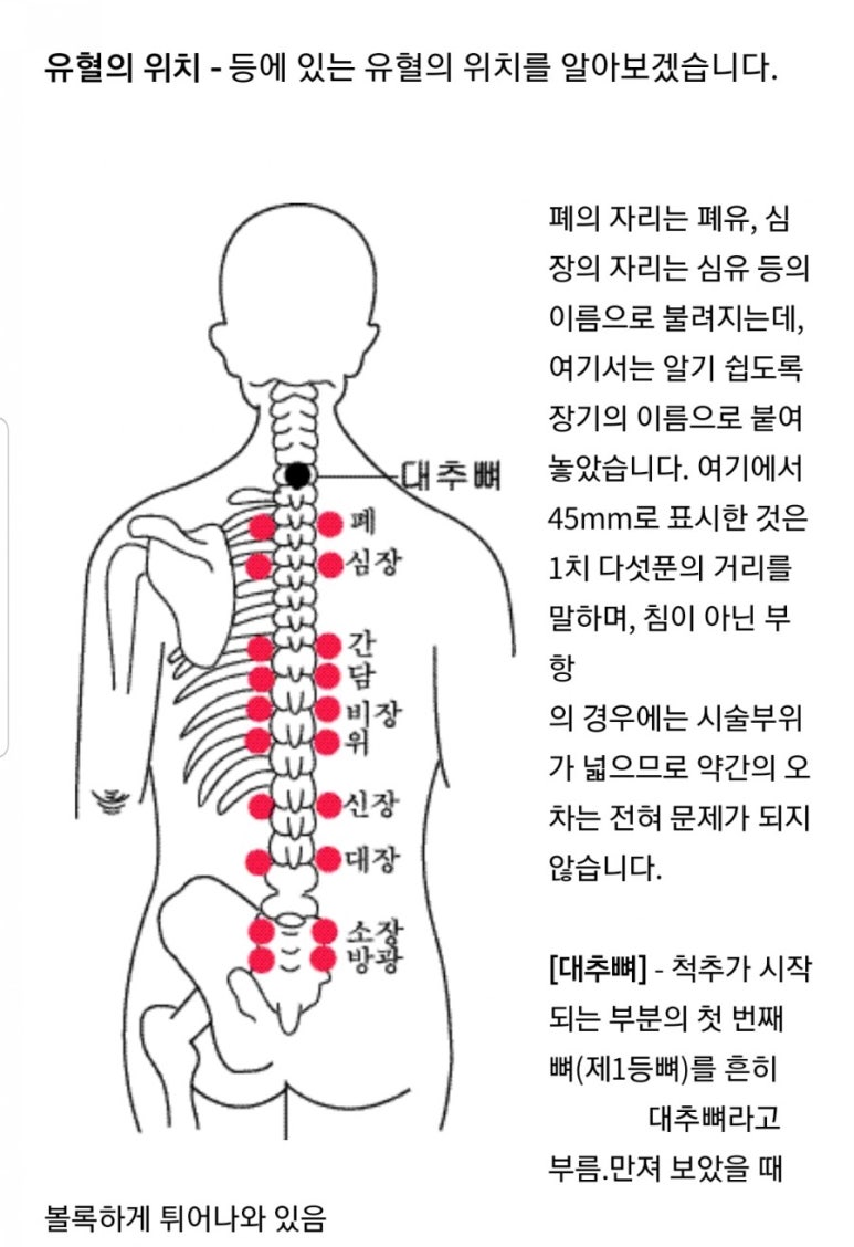 약손월드 이미지