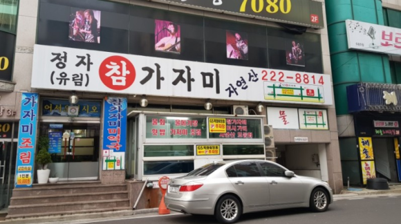 울산정자참가자미 이미지