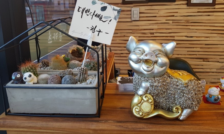카도돈카츠 이미지
