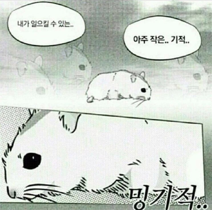 동경돈가츠 이미지