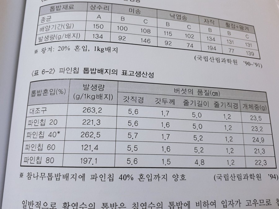 아람향 이미지