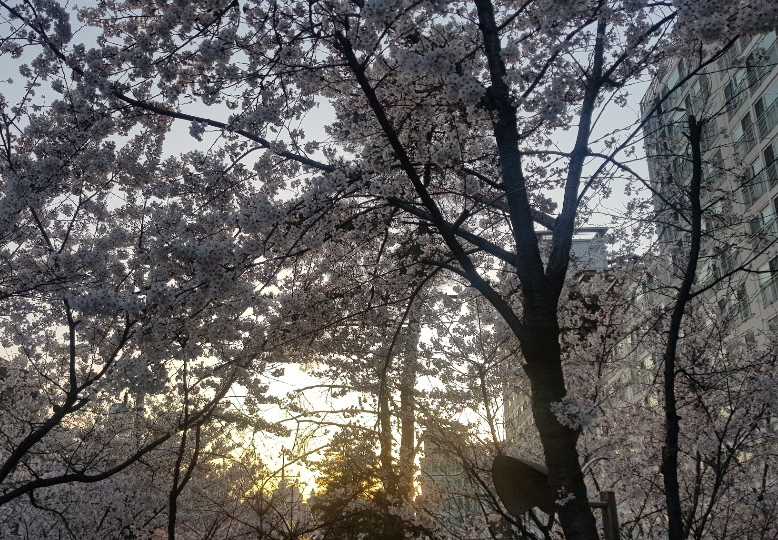꼼꼼이옷수선 이미지