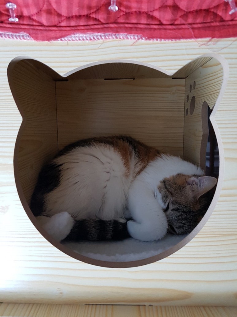 두리두리 이미지