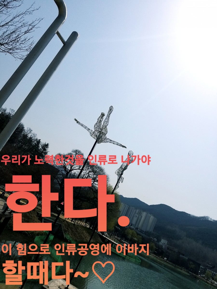 월드홍익선원 이미지