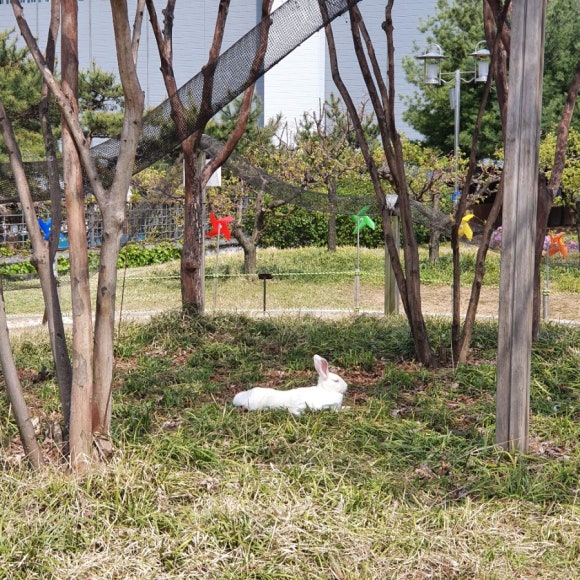 315오산 이미지
