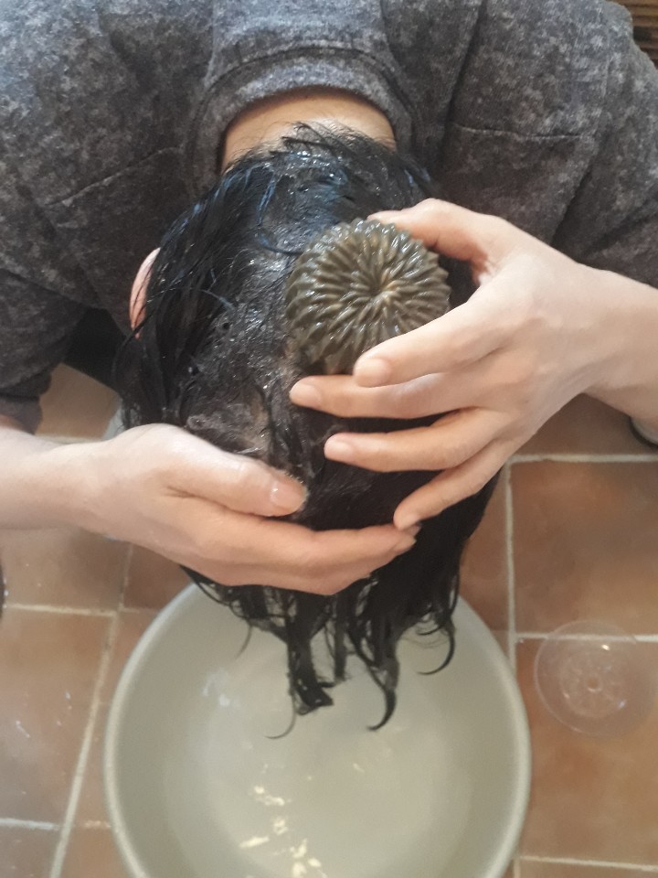 다모숲 이미지