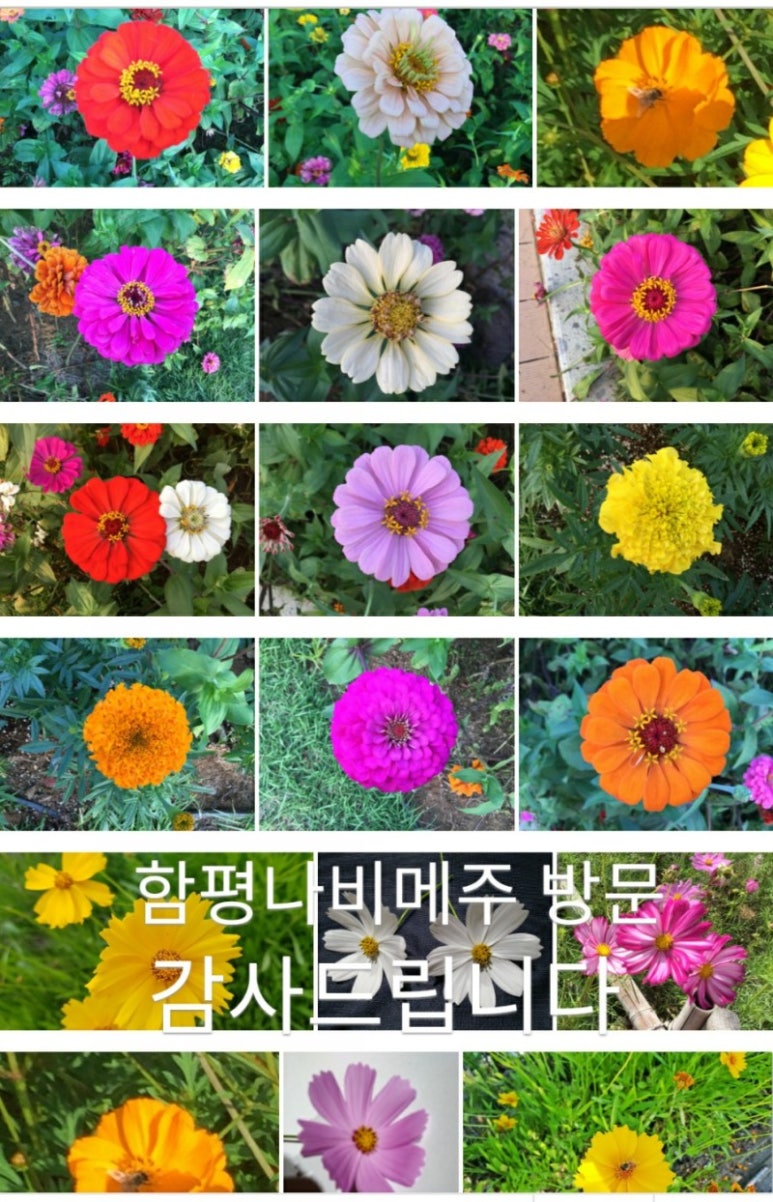 현미용타운 이미지
