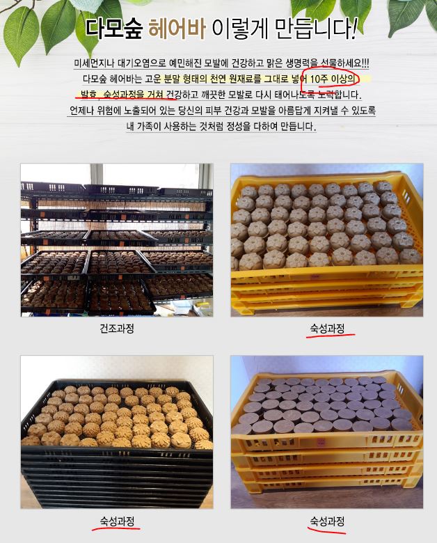 다모숲 이미지