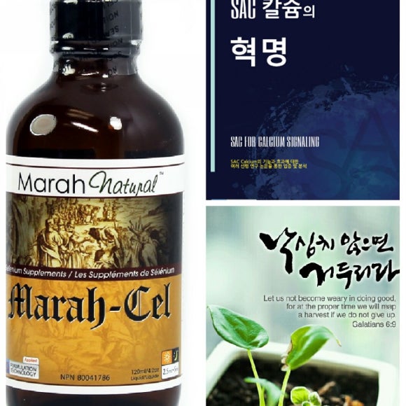 섹칼슘 이미지