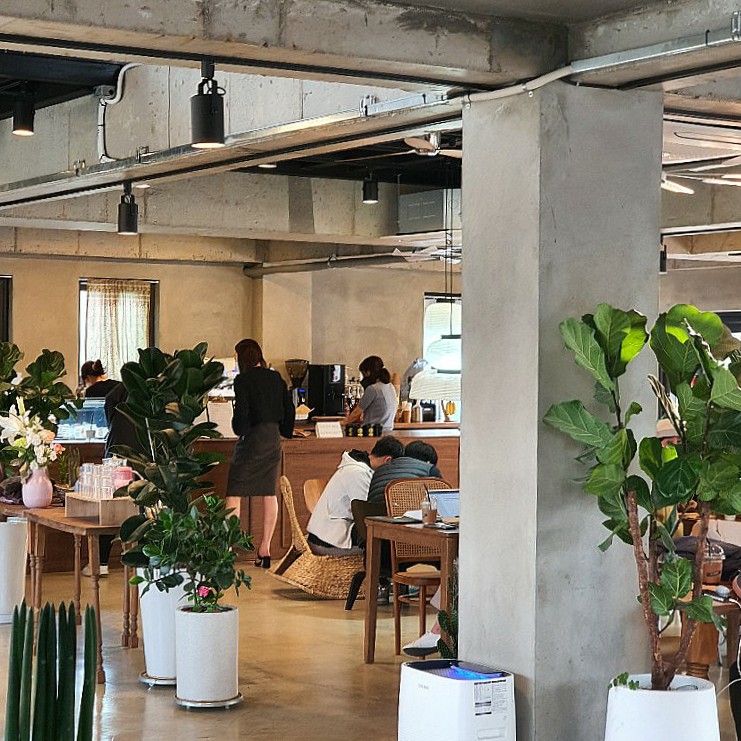 비비 커피(BB COFFEE) 이미지