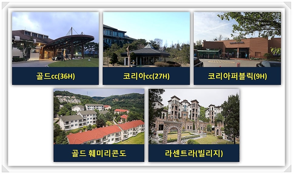 와이에스인베스트먼트 이미지