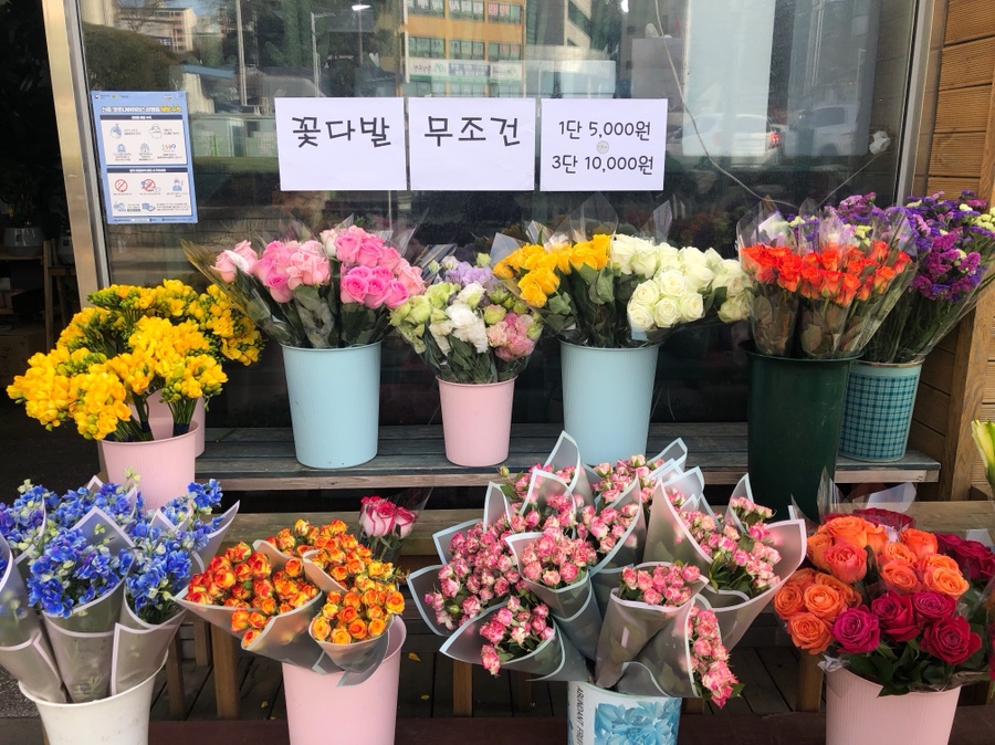 섬강화원 이미지