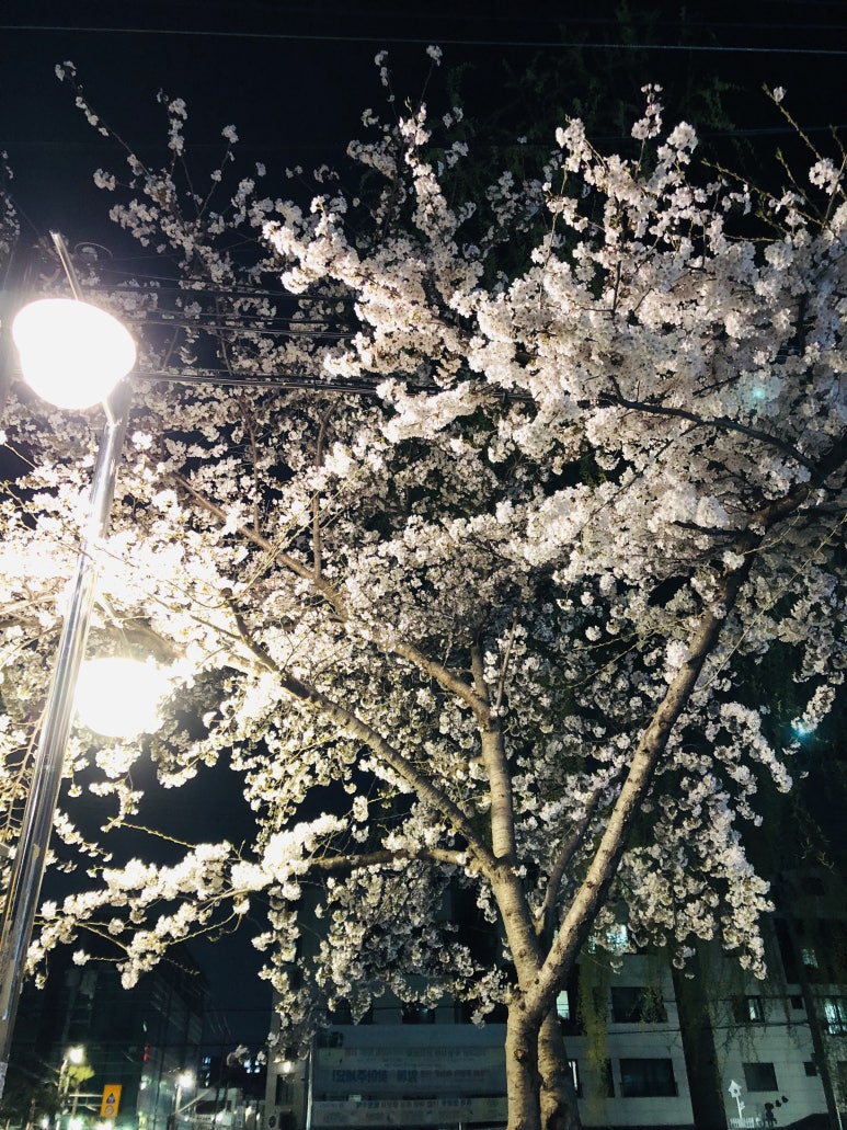 해브커피로스터즈 이미지