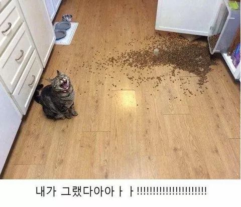 미원커피 이미지