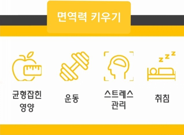옐로우점핑 이미지