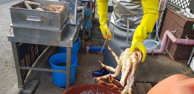 대게나라아중점 이미지
