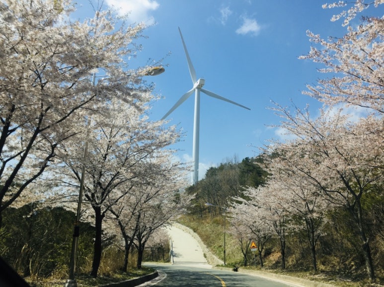 밀양밸리캠핑장 이미지