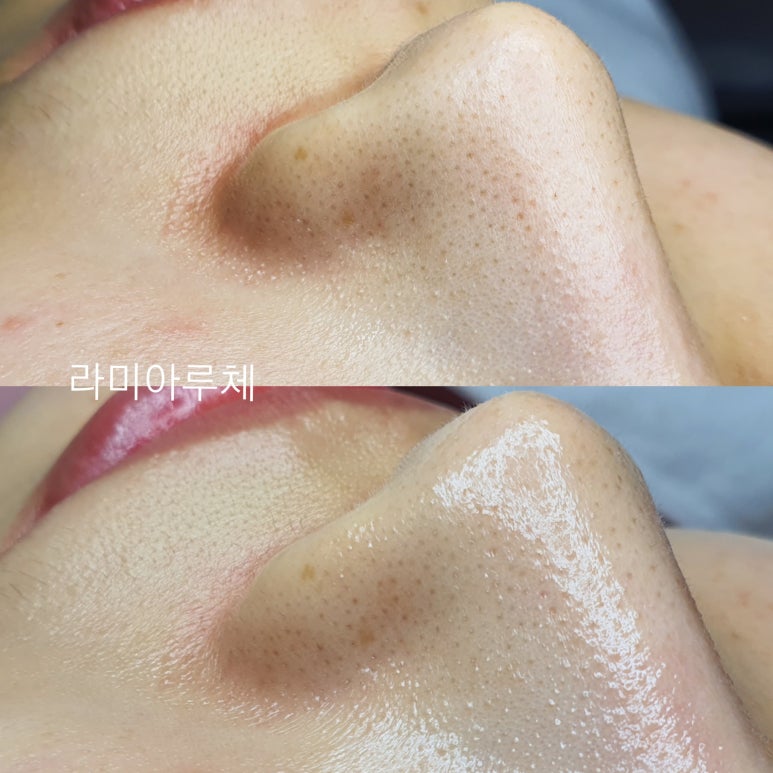라미아루체 이미지