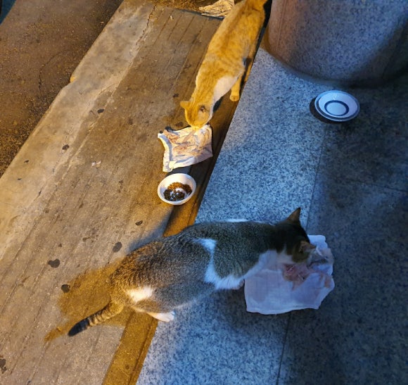 정마을횟집 이미지