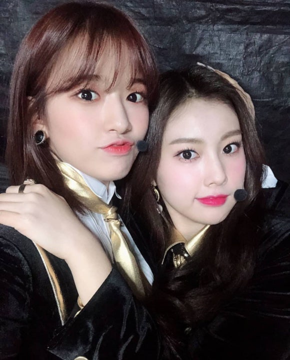 갤러리나비 이미지