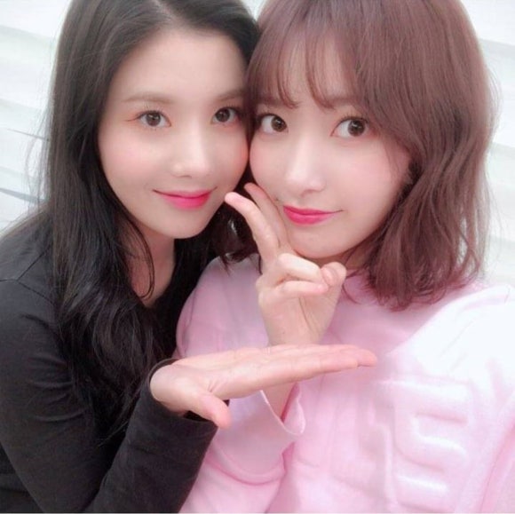 갤러리나비 이미지