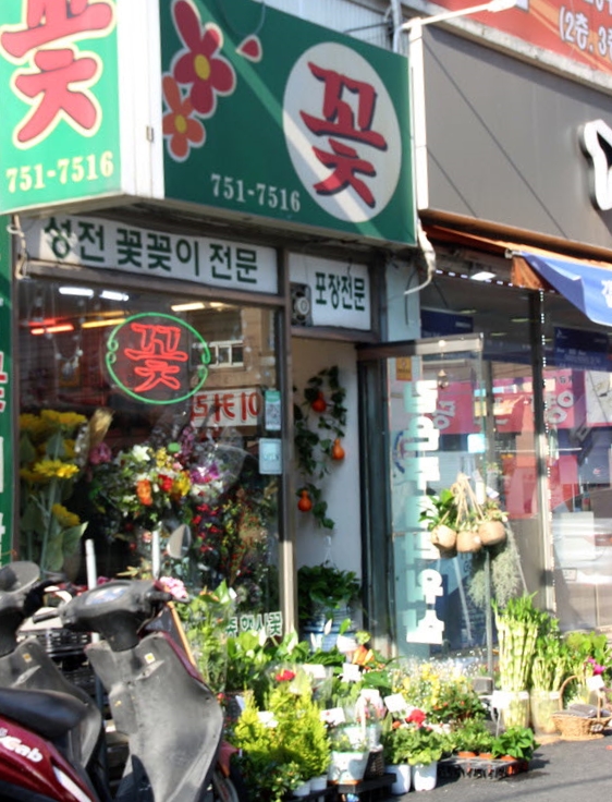 김은주꽃플라워 이미지