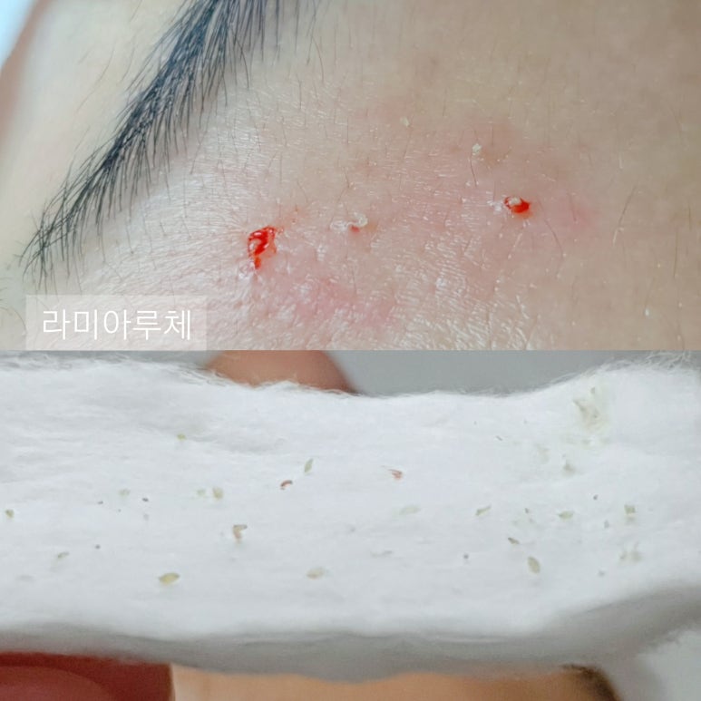 라미아루체 이미지