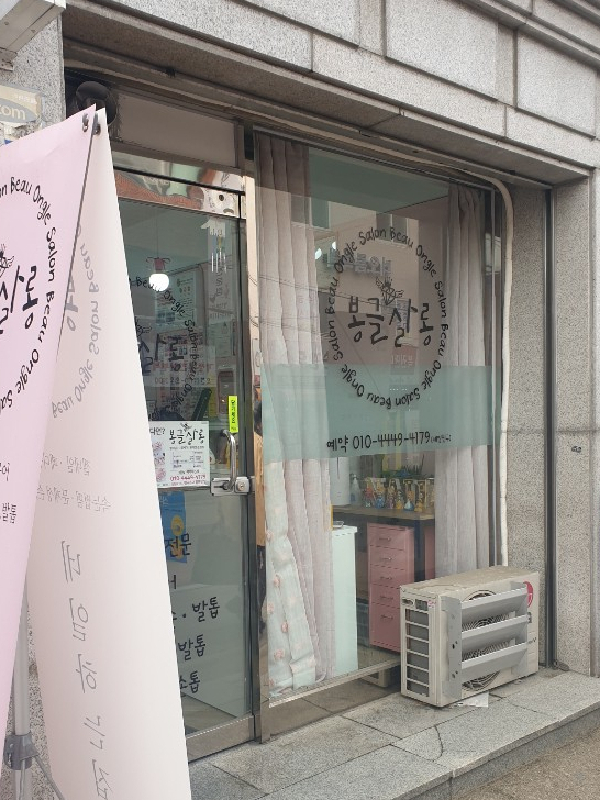 봉글살롱 이미지