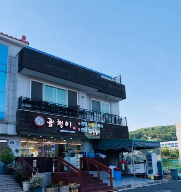 곰챙이 이미지